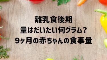 離乳食後期 食事量はだいたい何グラム ９ヶ月の赤ちゃんの食事量の目安 Gacomedia